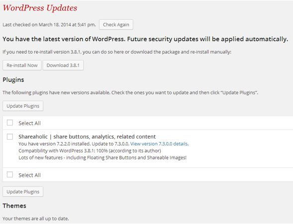 Update your WordPress plugins