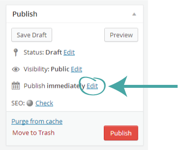 Edit Publish options