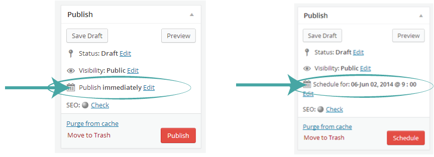 Publish vs Schedule