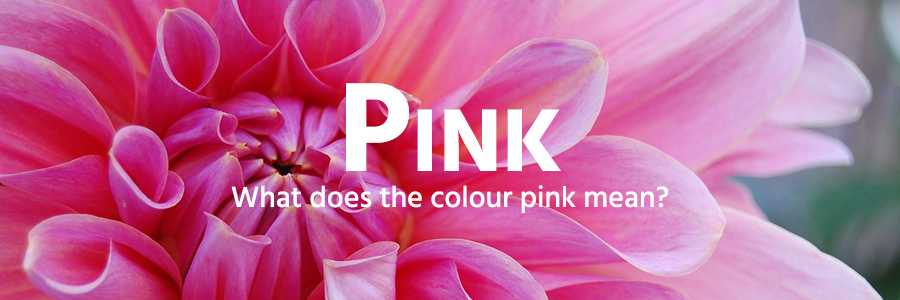 pink colour example - flower
